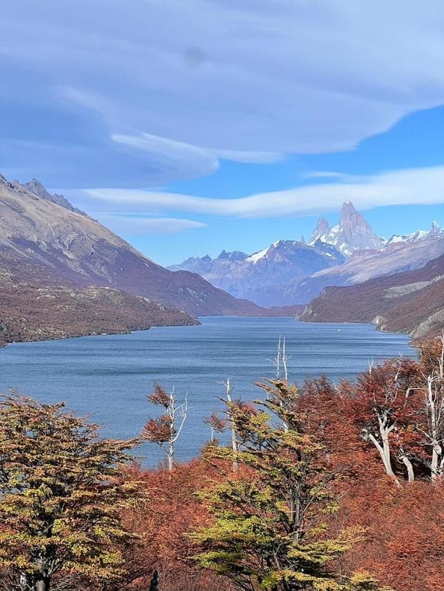 Il Fitz Roy sopra il Lago del Desierto, con le lenga in autunno