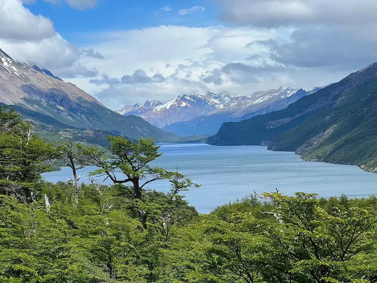 Il Lago del Desierto tra montagne e bosco, visto da un belvedere