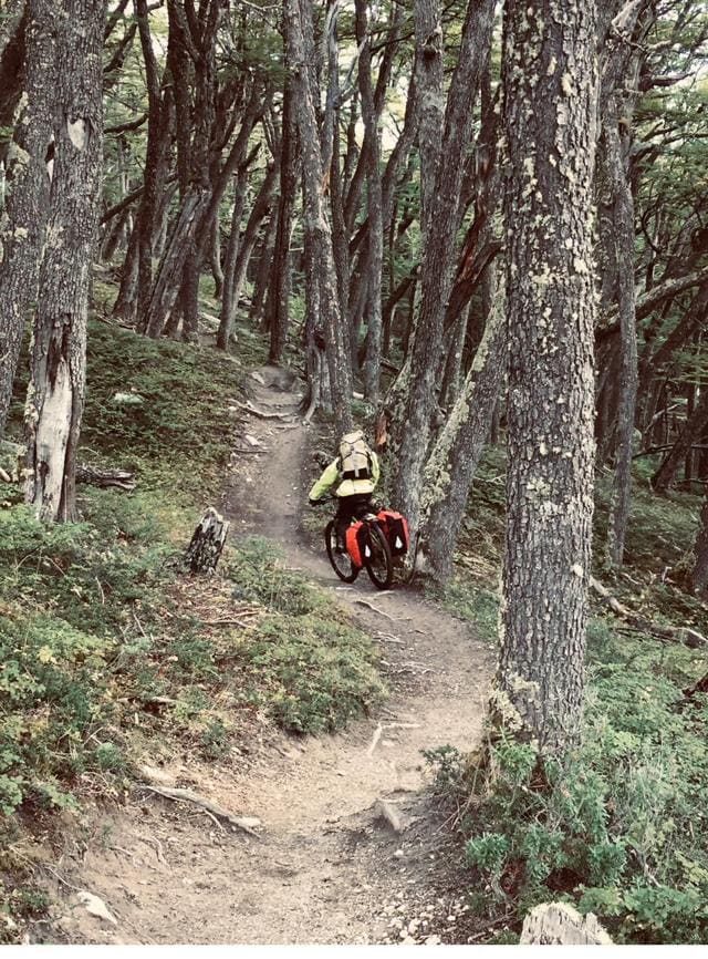 Un ciclista avanza por un sendero angosto entre lengas