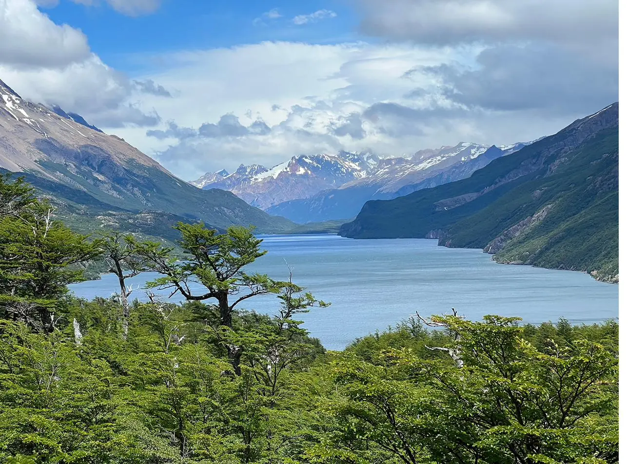 El Lago del Desierto entre montañas y bosque, visto desde un mirador
