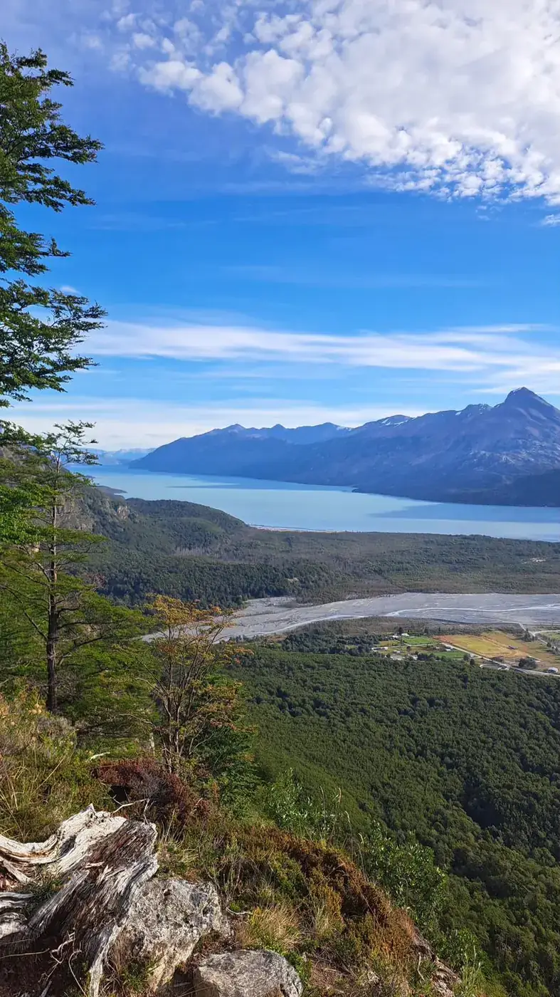 El lago O'Higgins visto desde un mirador sobre Villa O'Higgins, con bosque en primer plano y montañas al fondo